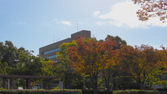 紅葉・パークロード ３０＿１９