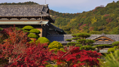 紅葉探索・３０
