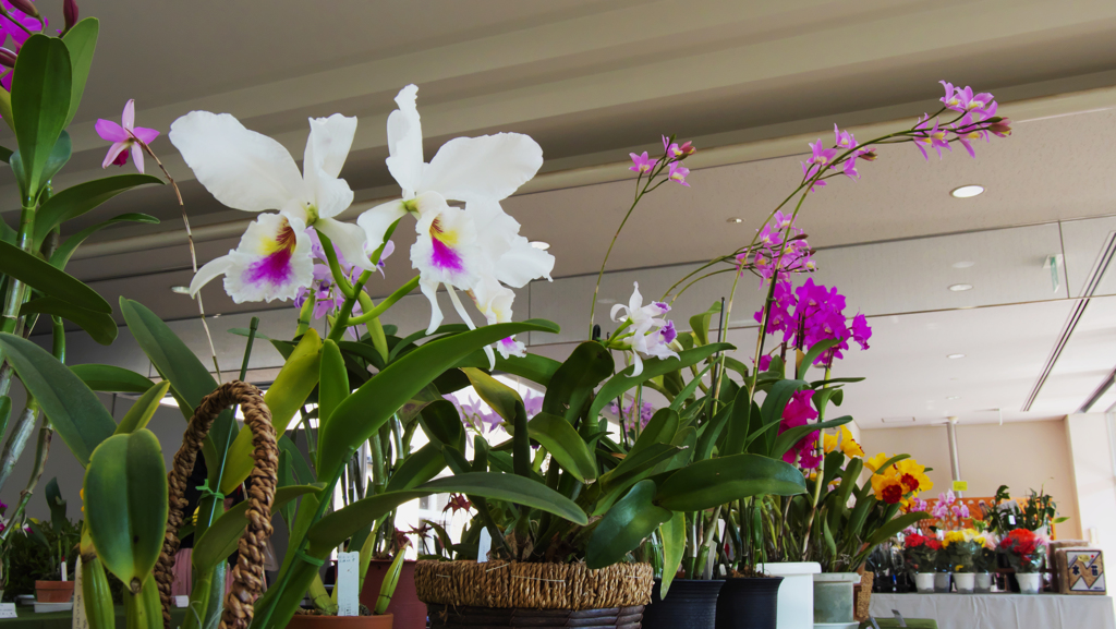 秋のラン ’１８＿９