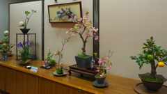 造花展・２９