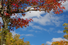 紅葉・パークロード ３０＿２２