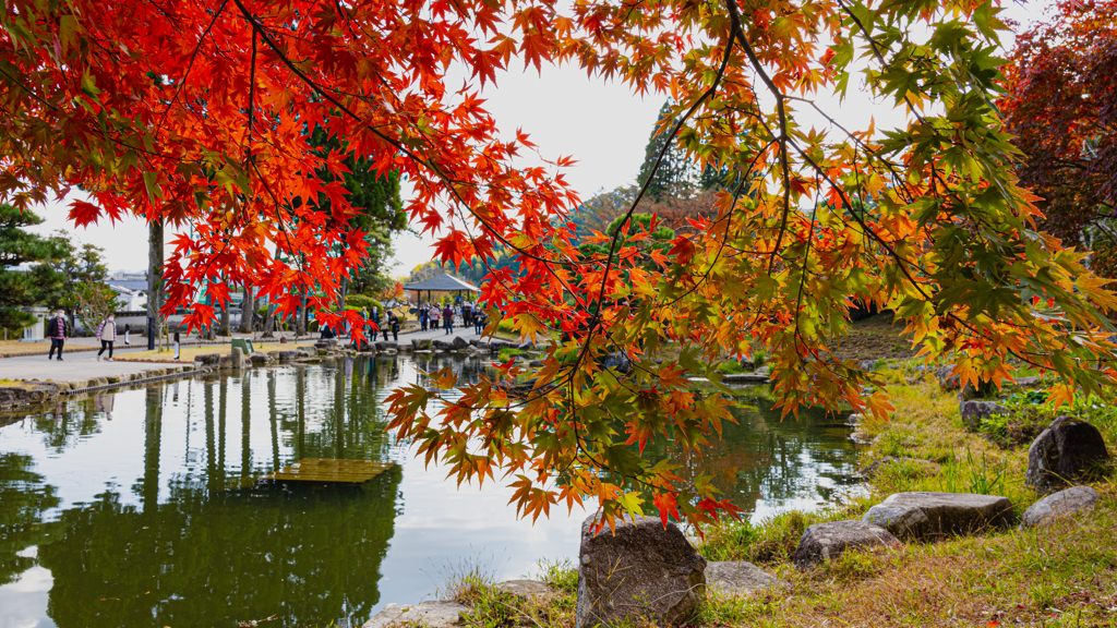 香山園 秋の彩り’２２＿１０