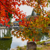 香山園 秋の彩り’２２＿１０
