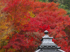 秋の彩り・龍蔵寺１２