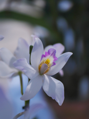 ラン展 in 下関・６