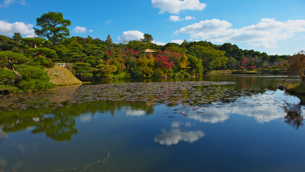 秋の彩り 防府市・毛利氏庭園１