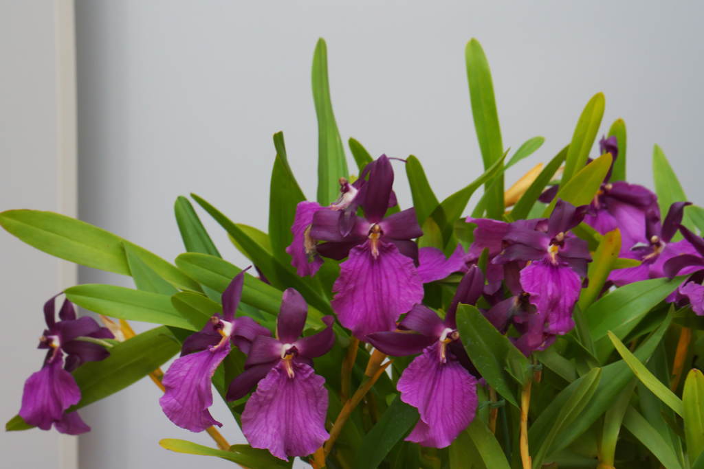 秋のラン ’１８＿２