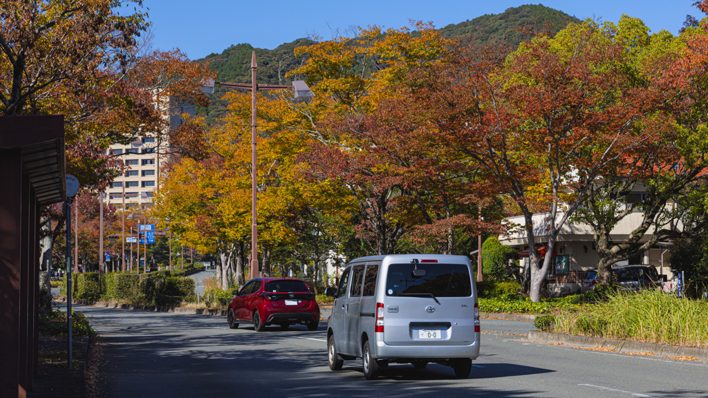 山口市内 秋の彩り＿１８