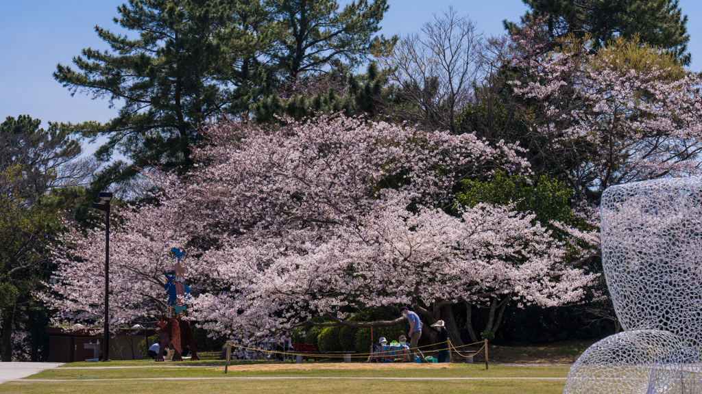 ときわ公園の春・２１