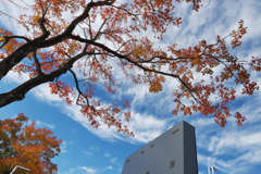 秋・維新公園３０＿６