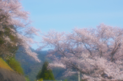 春はサクラ色・１