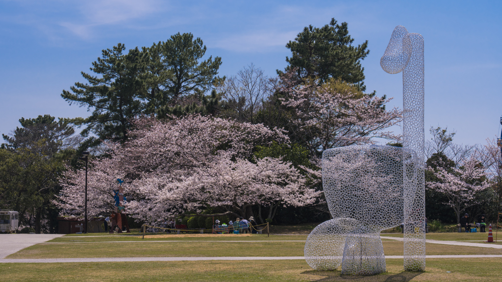 ときわ公園の春・１０