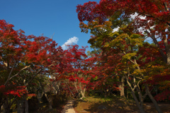 紅葉＿毛利氏庭園・３０＿２０