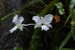 ラン・３１＿２