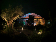 チームラボ・ときわ公園 ２０１９＿２５