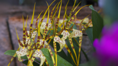 秋のラン ’１８＿１２