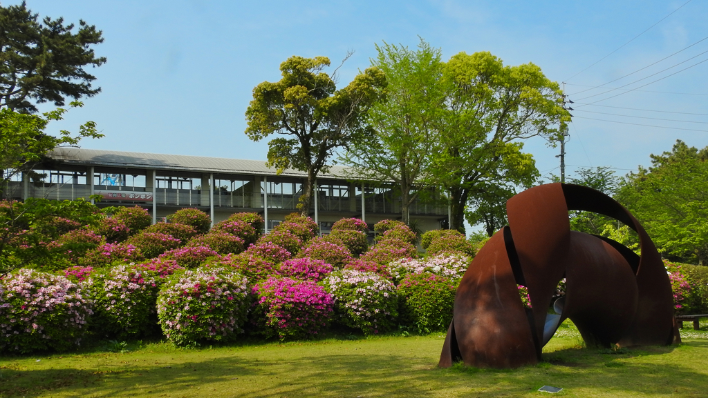 ヒラドツツジ・１