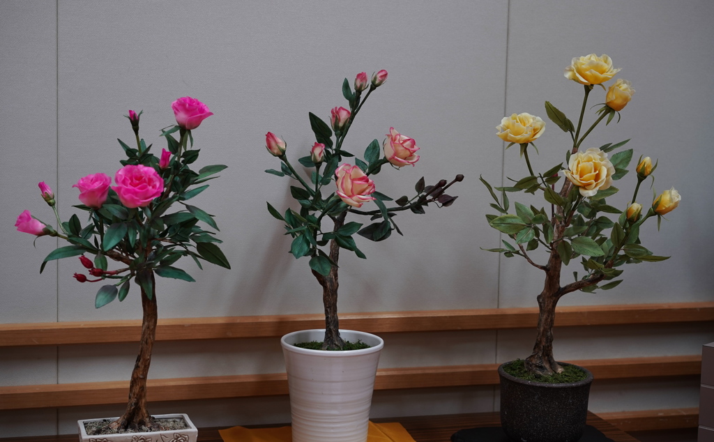 花遊び展 ’１８＿１９