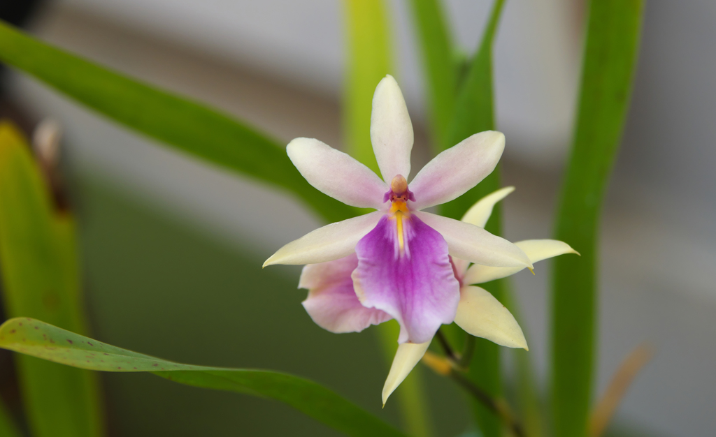 秋のラン ’１８＿７