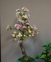 造花展・２