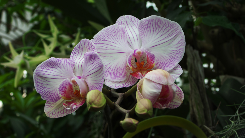 ラン・３１＿９