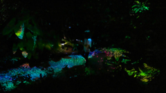 チームラボ・ときわ公園 ２０１９＿５
