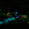 チームラボ・ときわ公園 ２０１９＿５