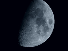 月齢９・3000mm 相当