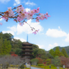 香山園 秋の彩り’２２＿６