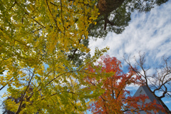 秋・維新公園３０＿７
