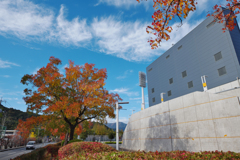秋・維新公園３０＿８