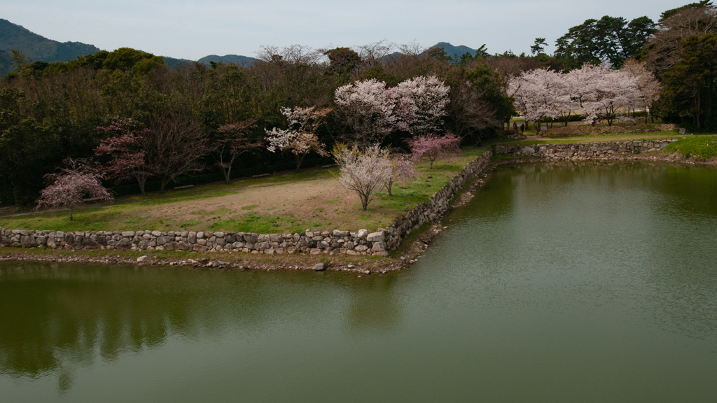 桜・萩城跡２＿５