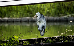 試写１(オリンパス 100-400mm F5.0-6.3 IS)