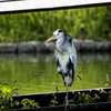 試写１(オリンパス 100-400mm F5.0-6.3 IS)