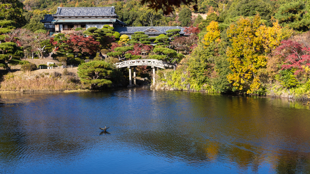 防府毛利氏庭園 秋の彩り・１３