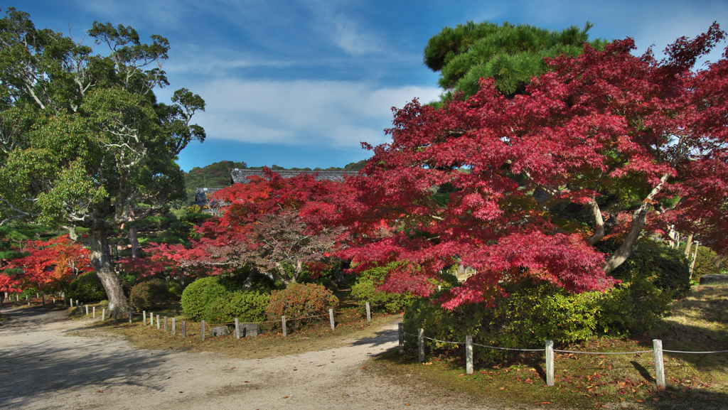 紅葉探索・２１