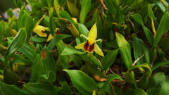 秋のラン ’１８＿２０