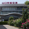 薔薇・３＿１