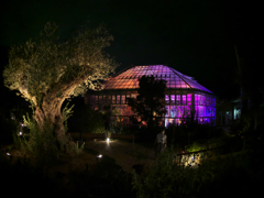 チームラボ・ときわ公園 ２０１９＿２４