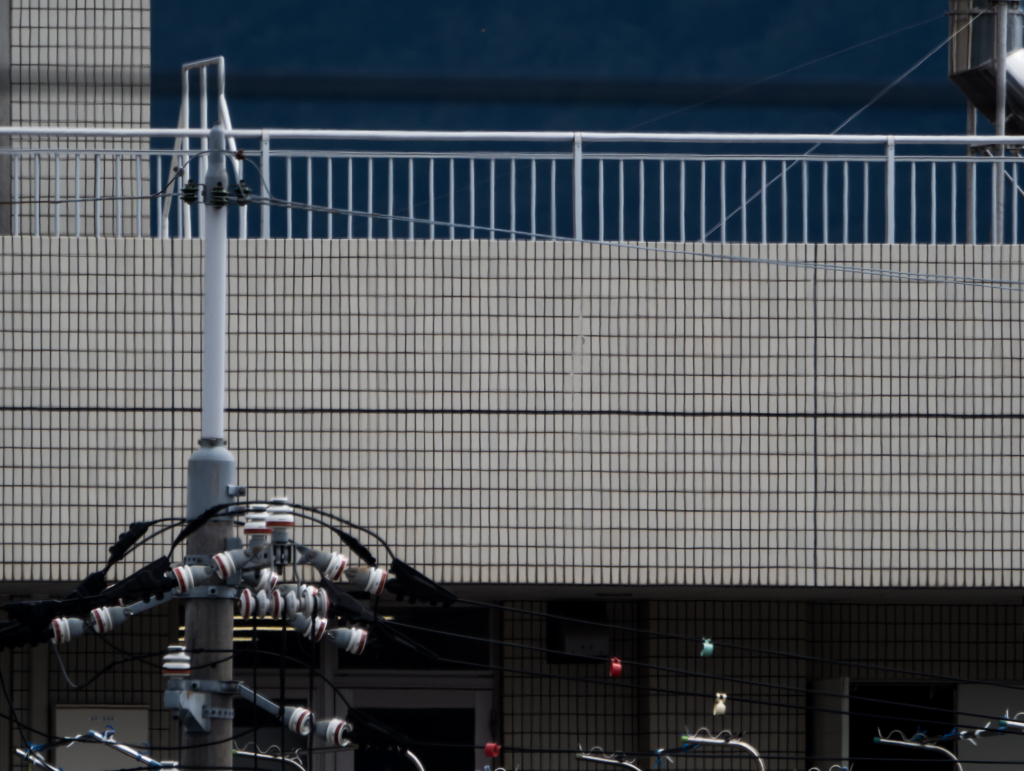試写４(オリンパス100-400mm F5.0-6.3 IS)