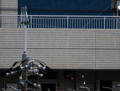 試写４(オリンパス100-400mm F5.0-6.3 IS)