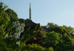 百日紅＿３０−７