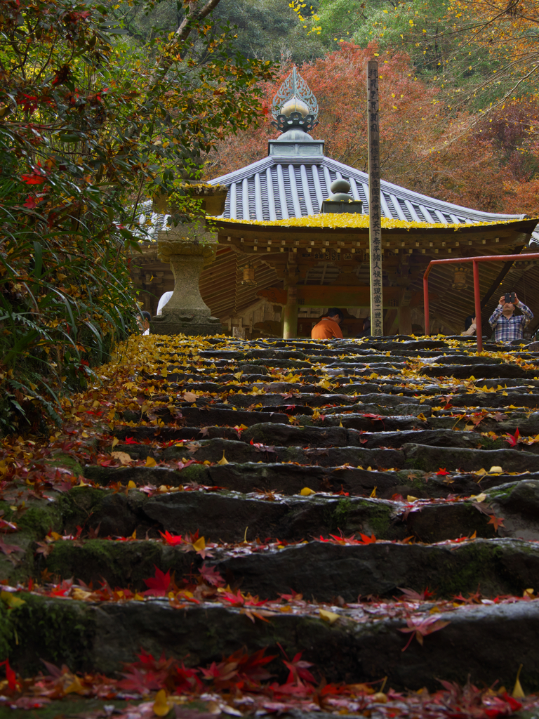 秋の彩り・龍蔵寺２