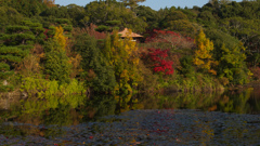 紅葉＿毛利氏庭園・３０＿２１