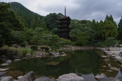 試写１・NIKKOR Z 12-200mm f/4-6.3 VR