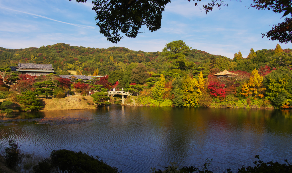 紅葉探索・３１