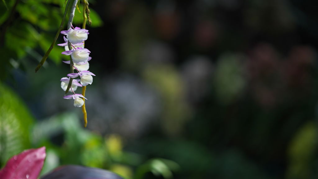 ラン・３１＿１６