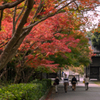 秋模様 防府毛利氏庭園＿６