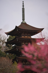 梅花と五重塔＿１２
