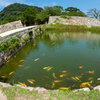 萩城跡（指月公園）＿３